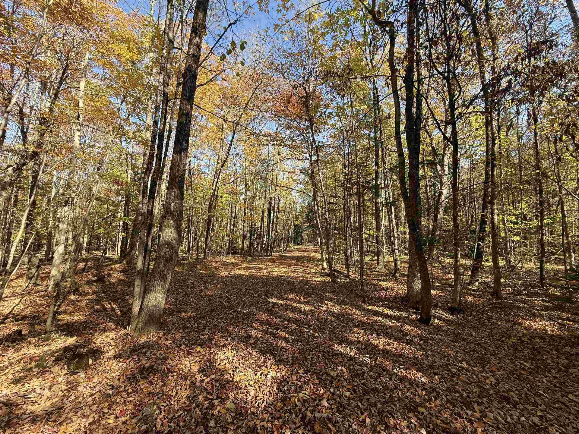 1414 Collins Mill Road Newport Town VT 05857