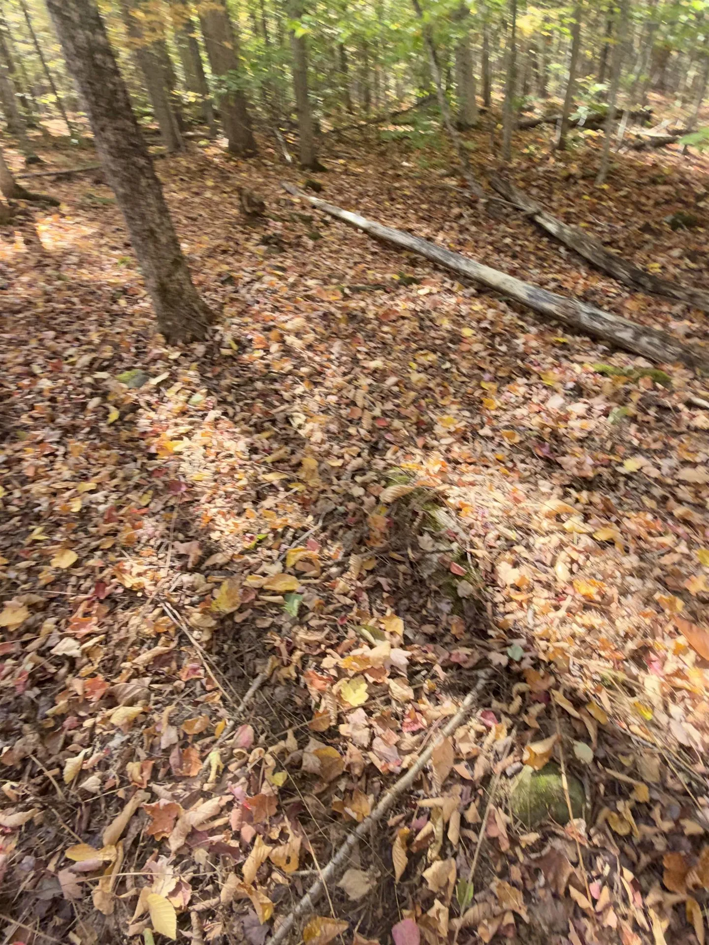 1414 Collins Mill Road Newport Town VT 05857