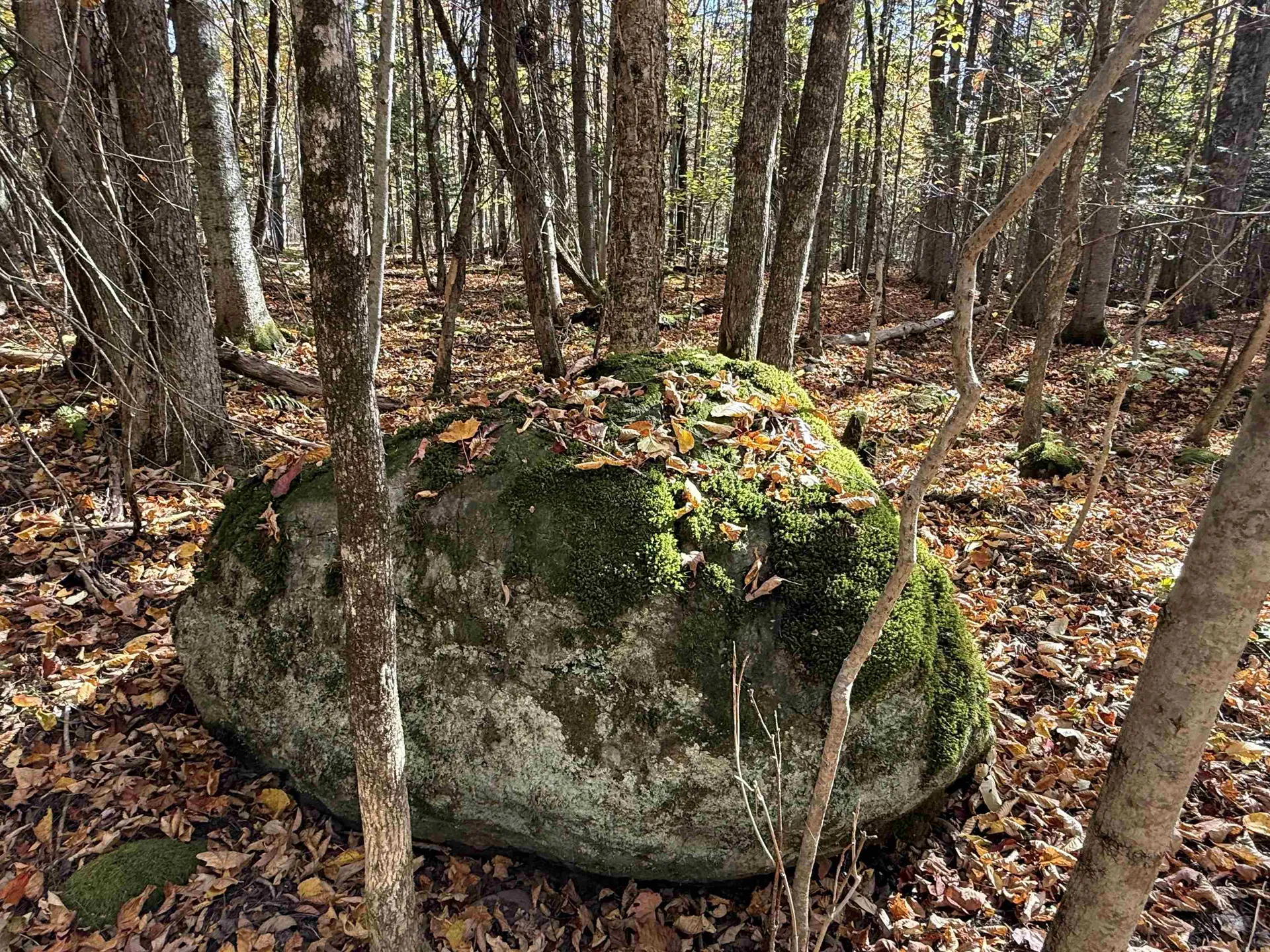 1414 Collins Mill Road Newport Town VT 05857