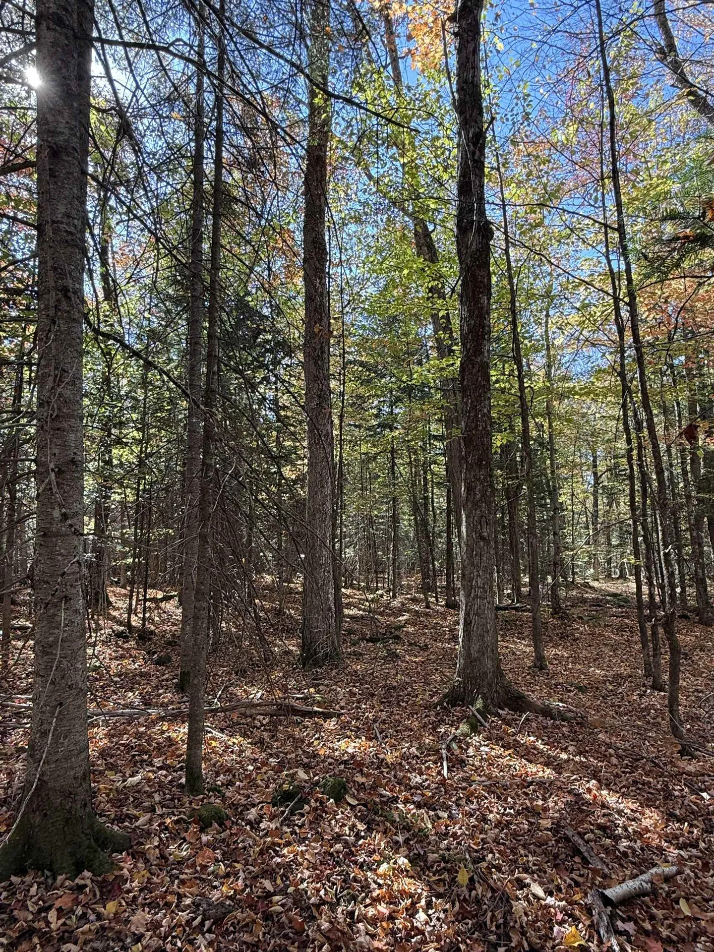 1414 Collins Mill Road Newport Town VT 05857