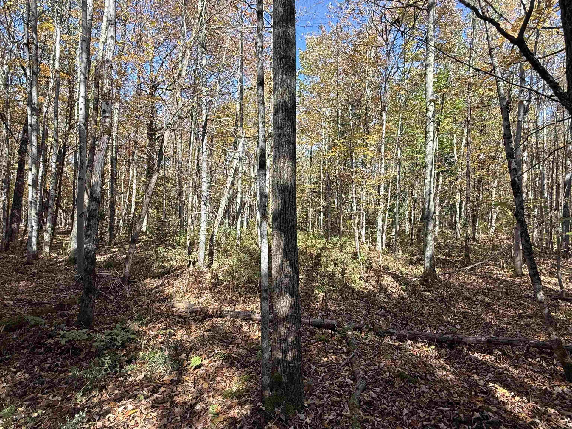 1414 Collins Mill Road Newport Town VT 05857