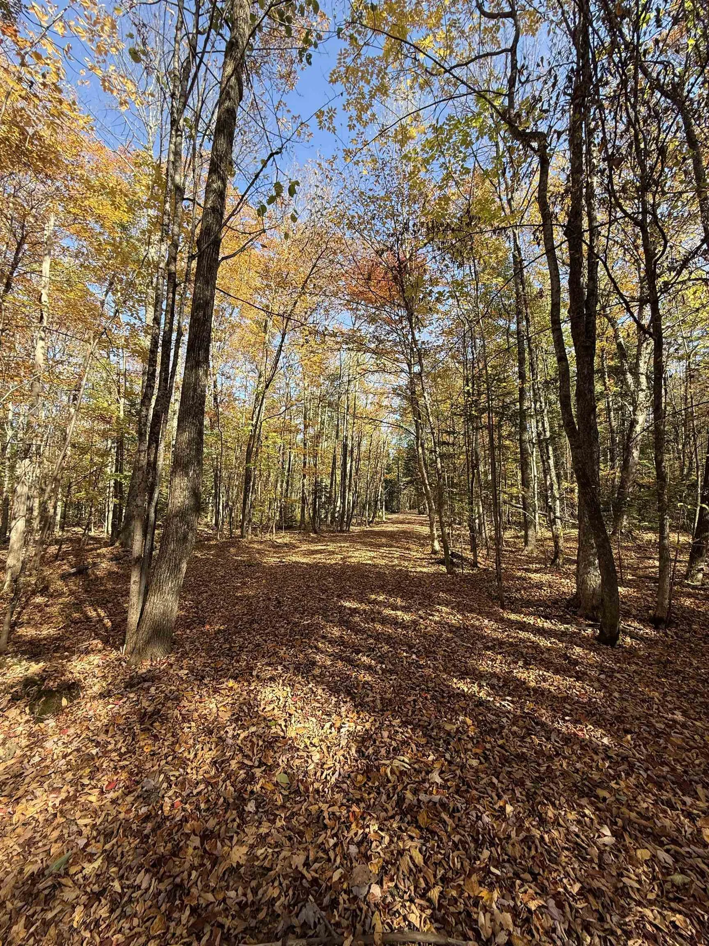 1414 Collins Mill Road Newport Town VT 05857