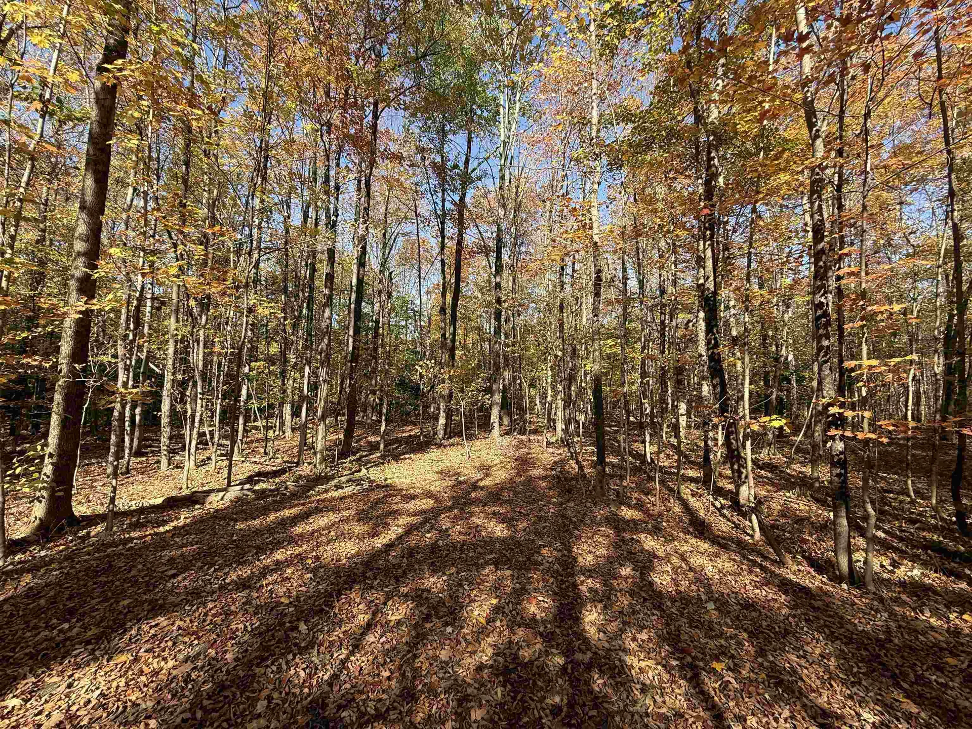 1414 Collins Mill Road Newport Town VT 05857