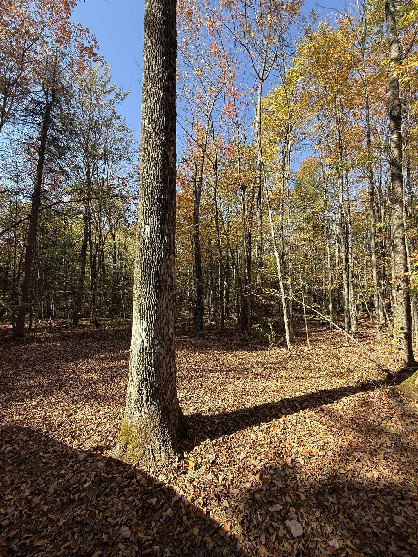 1414 Collins Mill Road Newport Town VT 05857