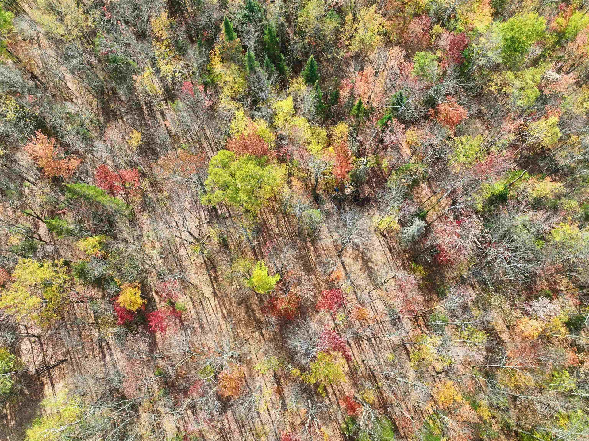 1414 Collins Mill Road Newport Town VT 05857