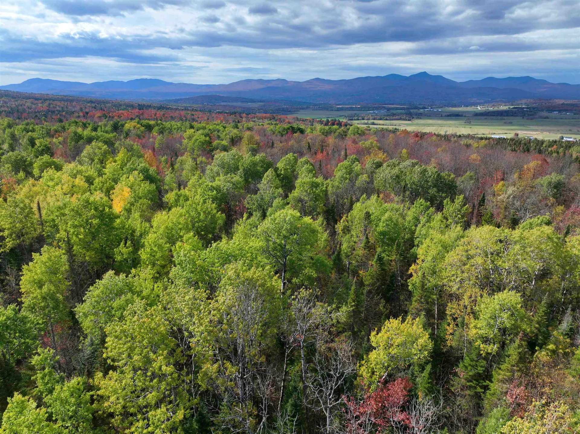 1414 Collins Mill Road Newport Town VT 05857