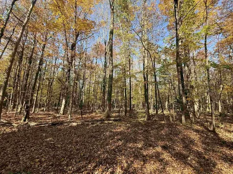 1414 Collins Mill Road Newport Town VT 05857