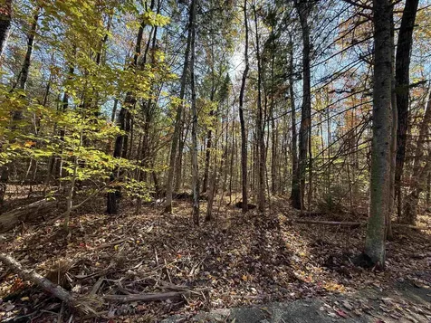 1414 Collins Mill Road Newport Town VT 05857