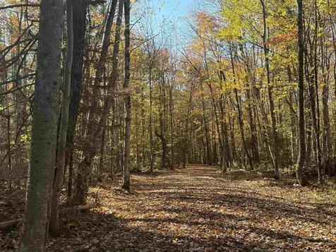 1414 Collins Mill Road Newport Town VT 05857