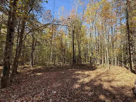 1414 Collins Mill Road Newport Town VT 05857