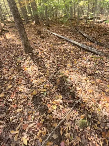 1414 Collins Mill Road Newport Town VT 05857