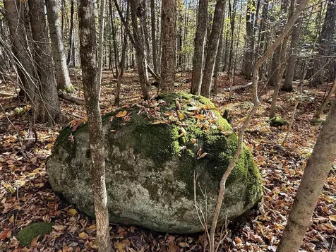 1414 Collins Mill Road Newport Town VT 05857