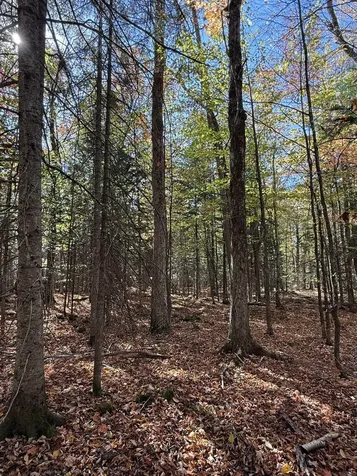 1414 Collins Mill Road Newport Town VT 05857