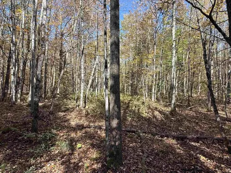 1414 Collins Mill Road Newport Town VT 05857