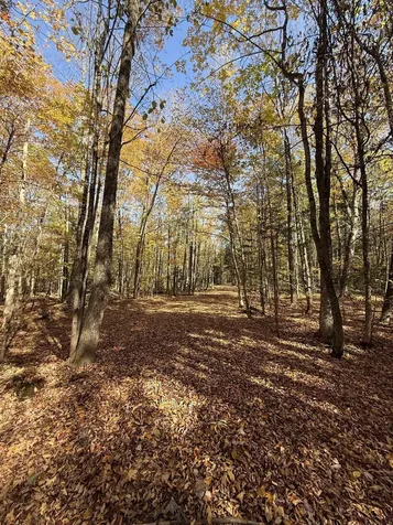 1414 Collins Mill Road Newport Town VT 05857