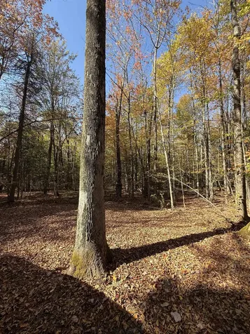 1414 Collins Mill Road Newport Town VT 05857