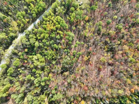 1414 Collins Mill Road Newport Town VT 05857