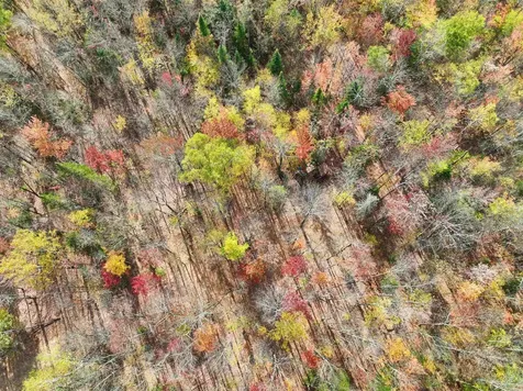 1414 Collins Mill Road Newport Town VT 05857