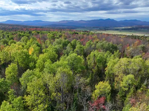 1414 Collins Mill Road Newport Town VT 05857