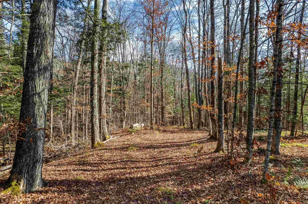 132 Brook Road Chelsea VT 05038