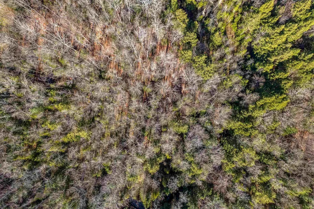 132 Brook Road Chelsea VT 05038