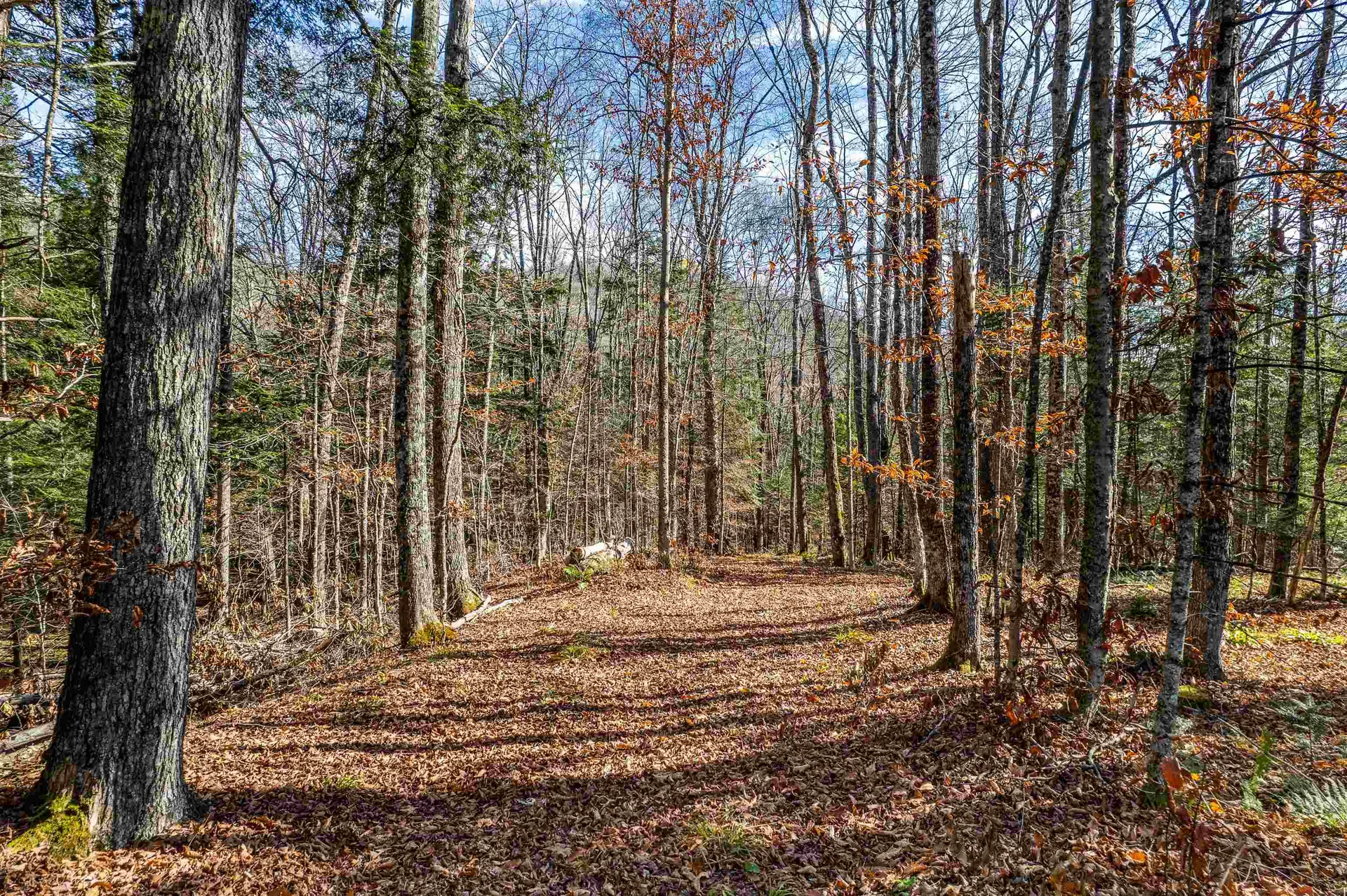 132 Brook Road Chelsea VT 05038