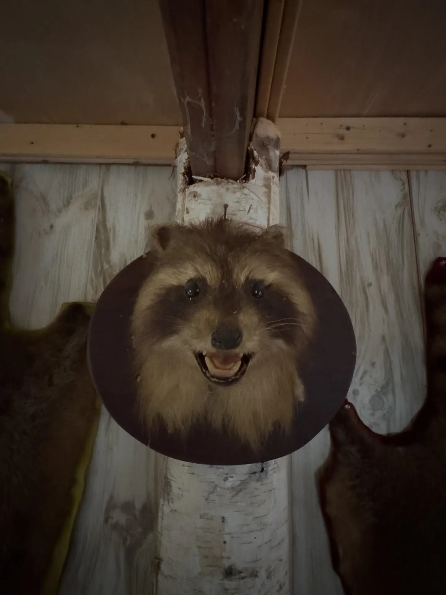 397 Thompson Road Stockbridge VT 05772