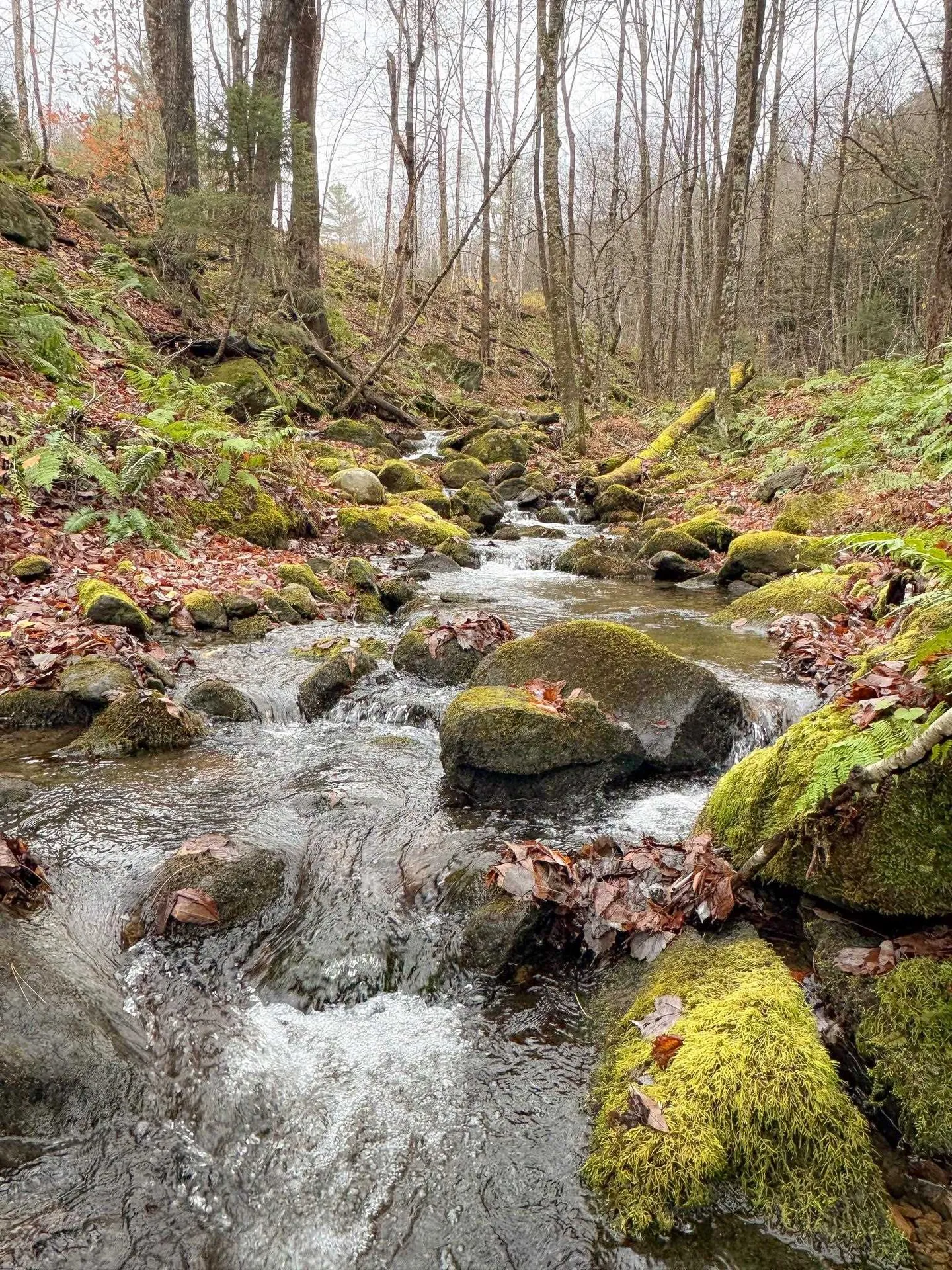 397 Thompson Road Stockbridge VT 05772