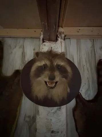 397 Thompson Road Stockbridge VT 05772