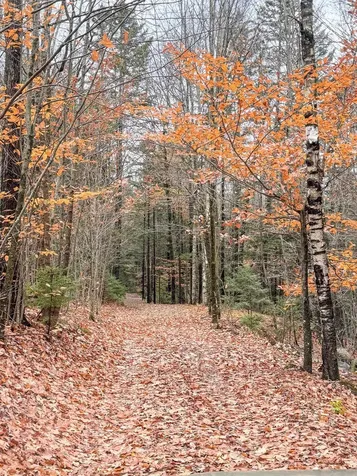 397 Thompson Road Stockbridge VT 05772