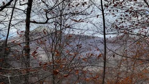 397 Thompson Road Stockbridge VT 05772