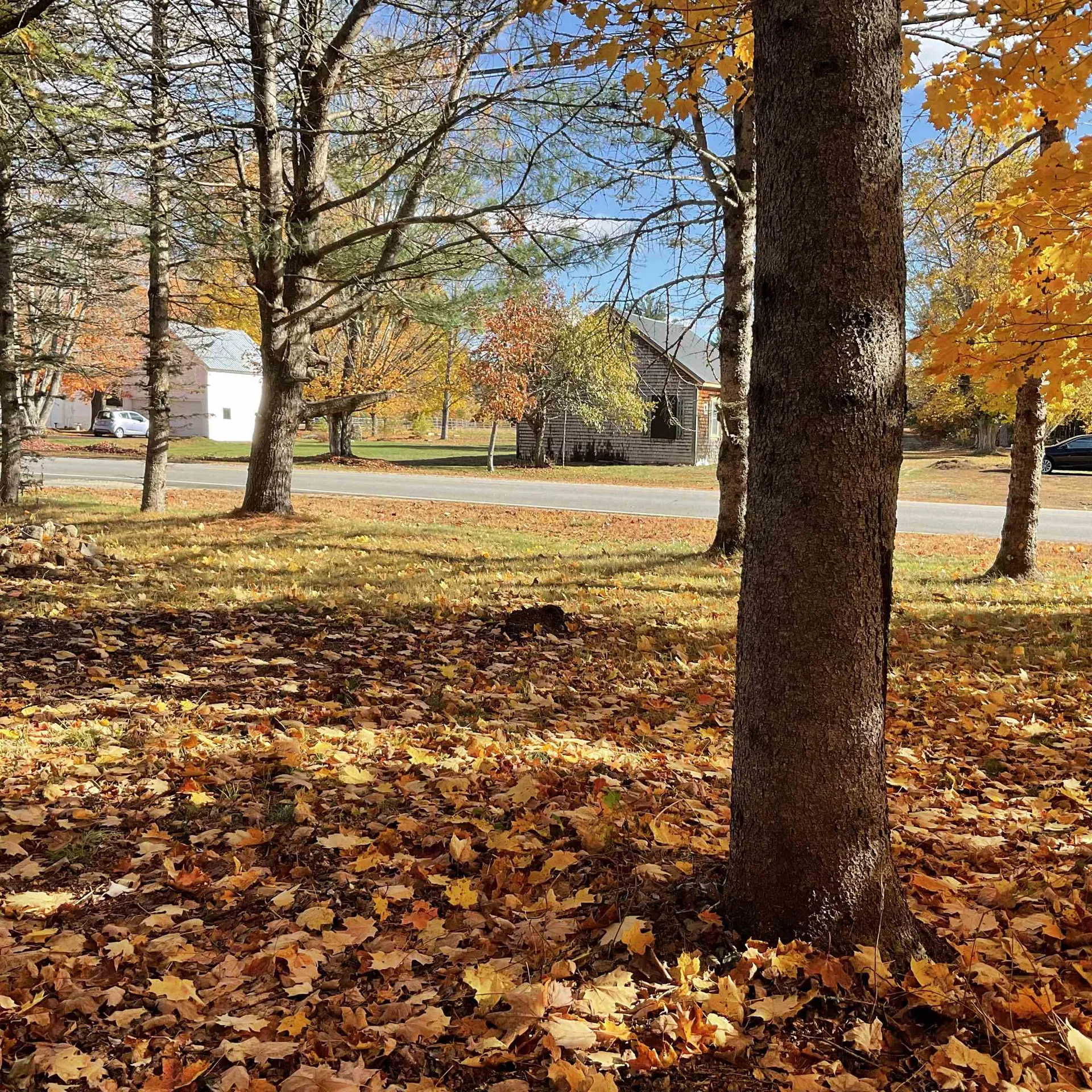 167 Main Street Brownfield ME 04010