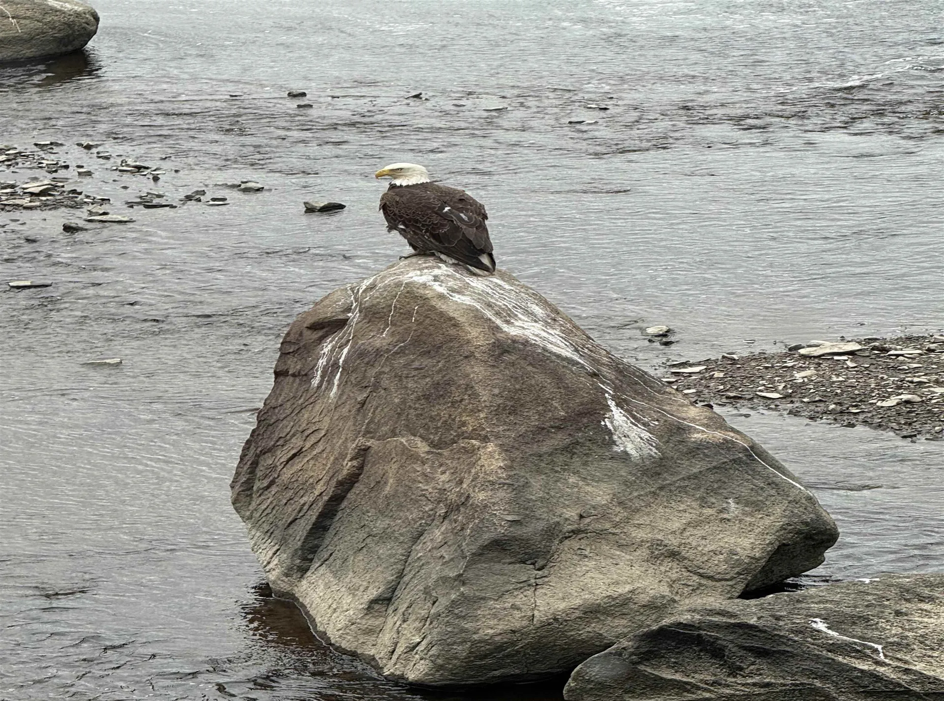 10 String Bridge Exeter NH 03833