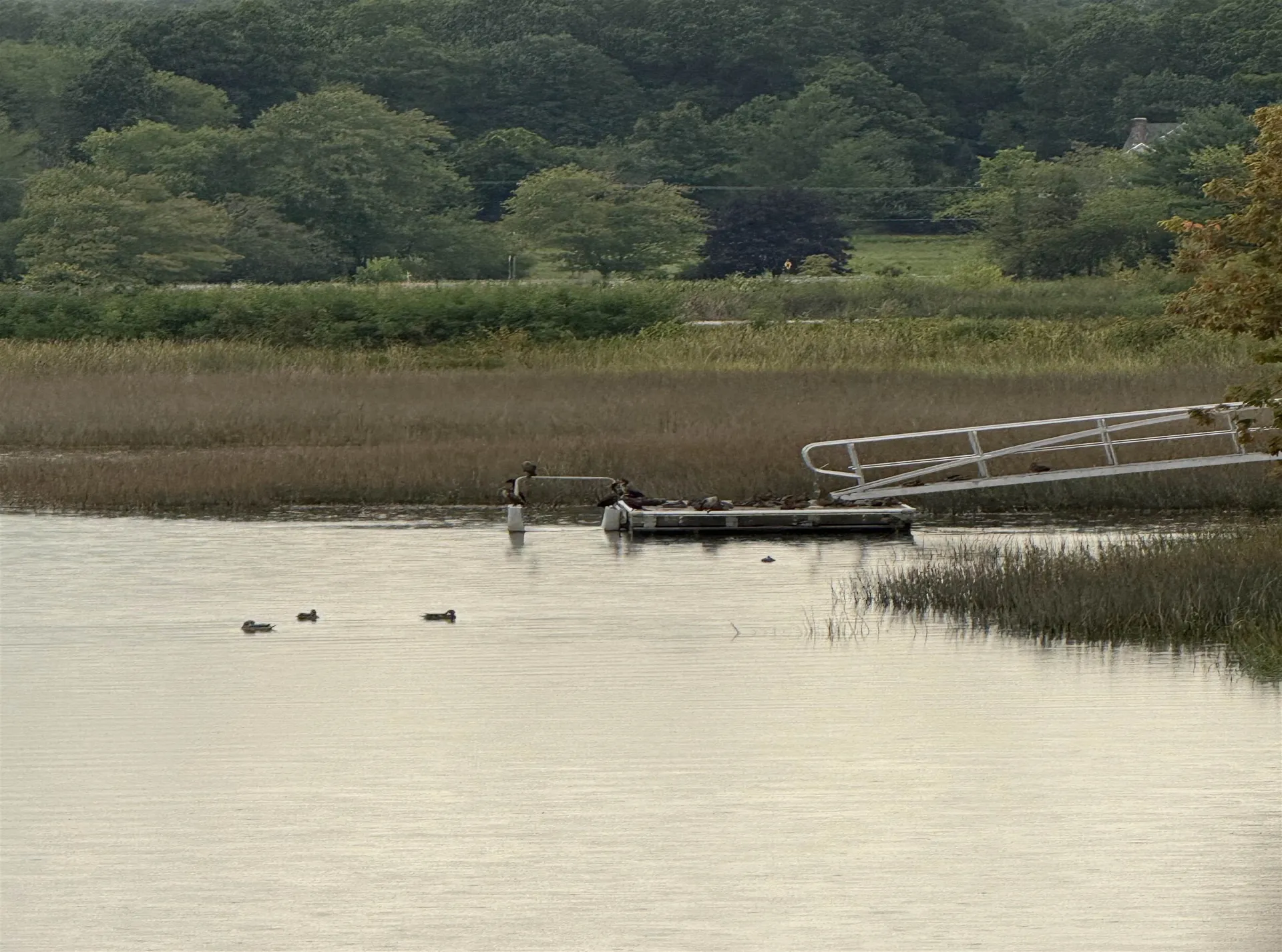 10 String Bridge Exeter NH 03833