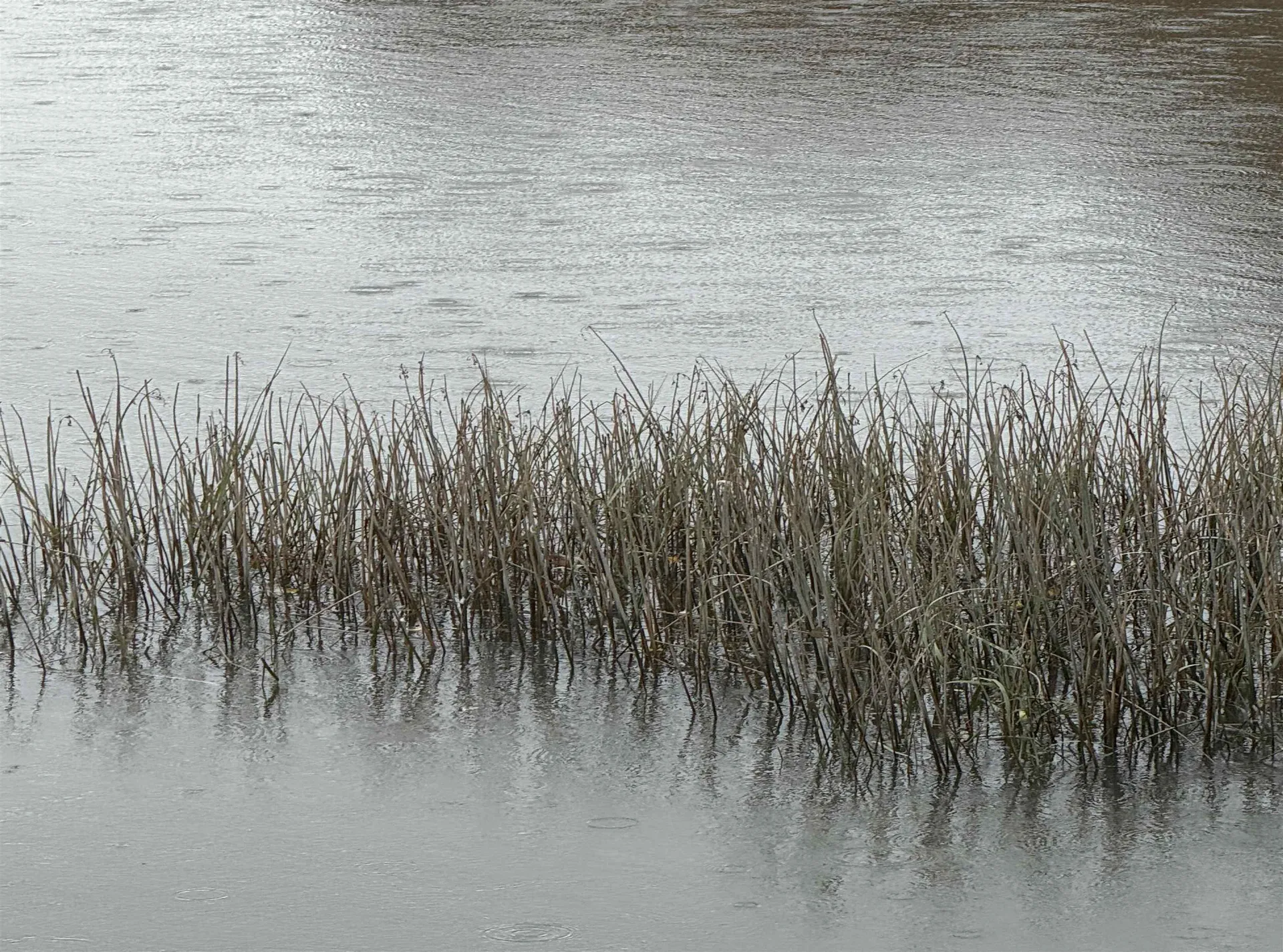 10 String Bridge Exeter NH 03833