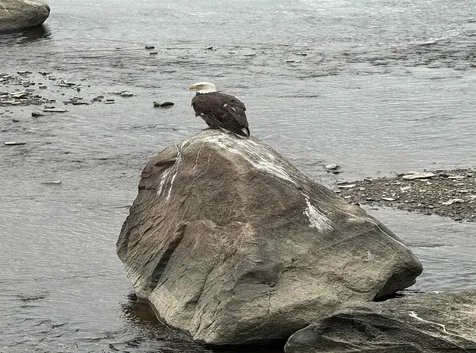 10 String Bridge Exeter NH 03833