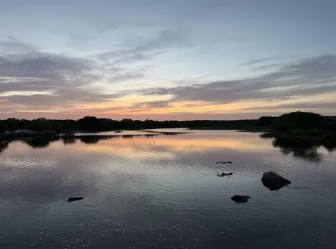 10 String Bridge Exeter NH 03833