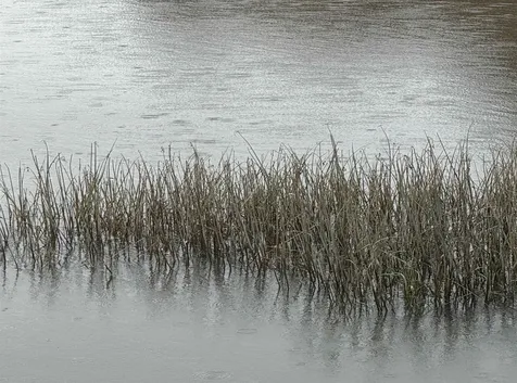 10 String Bridge Exeter NH 03833