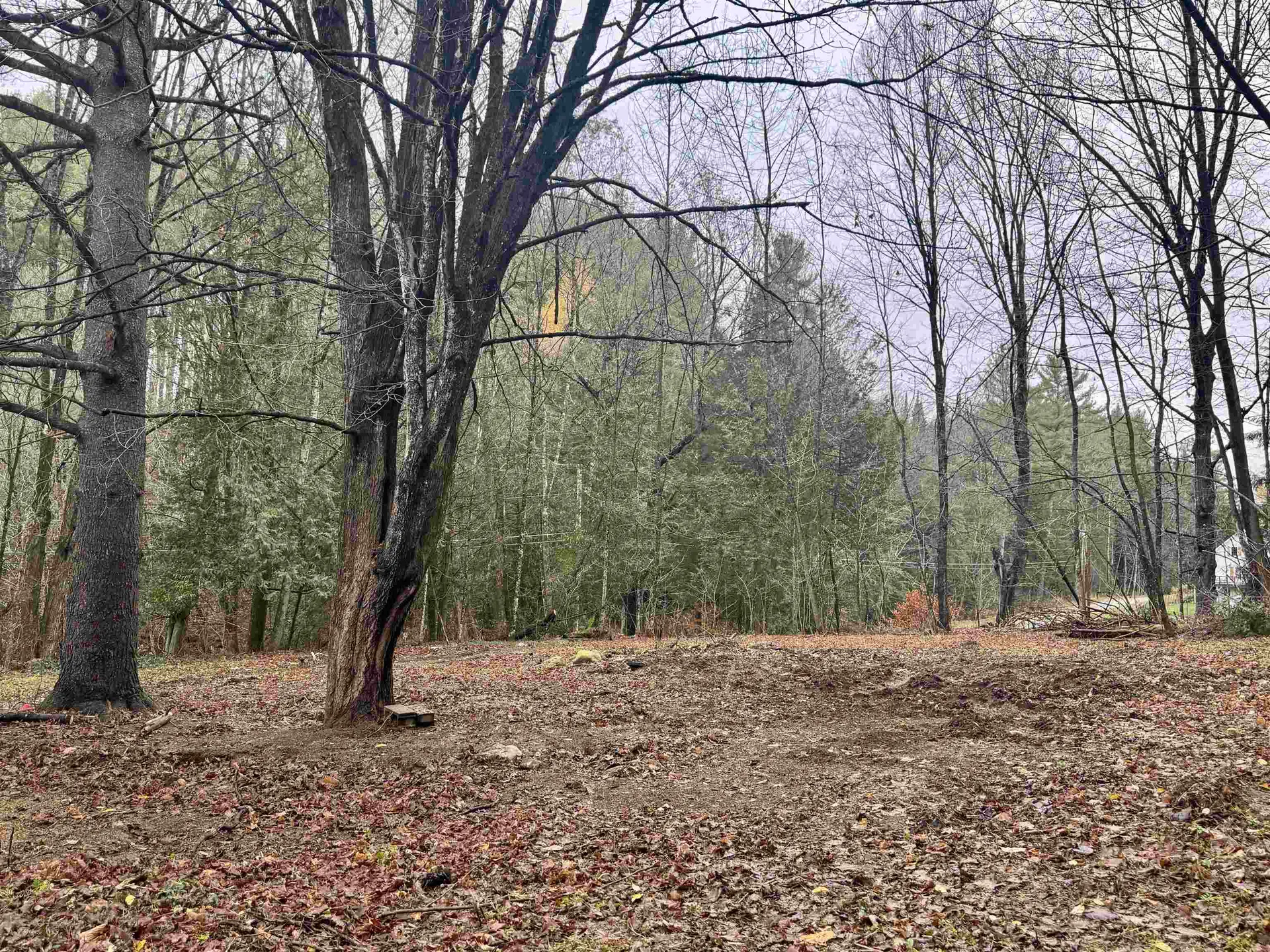 136 Ann Wilson Road Derby VT 05829