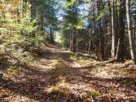 0 Binks Hill Road Plymouth NH 03264