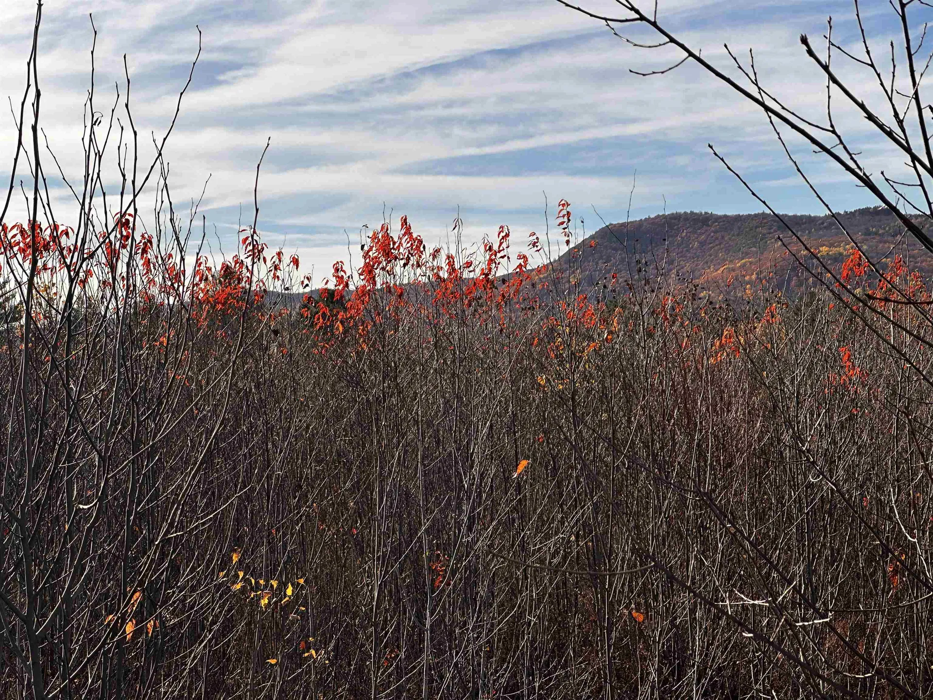 Tbd Mcintyre Road Dalton NH 03598