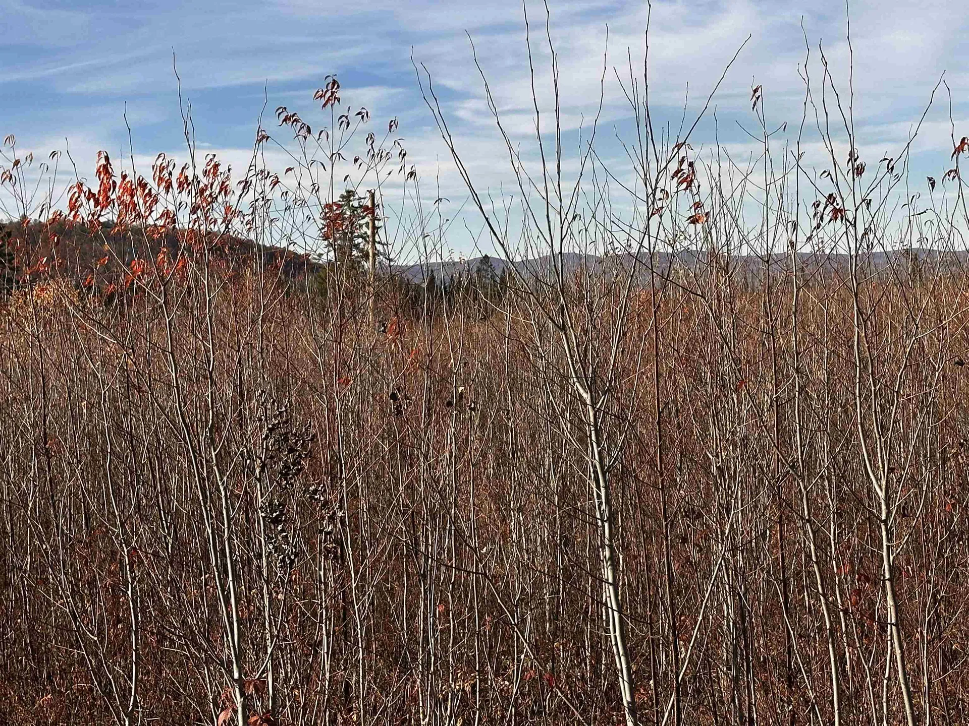 Tbd Mcintyre Road Dalton NH 03598