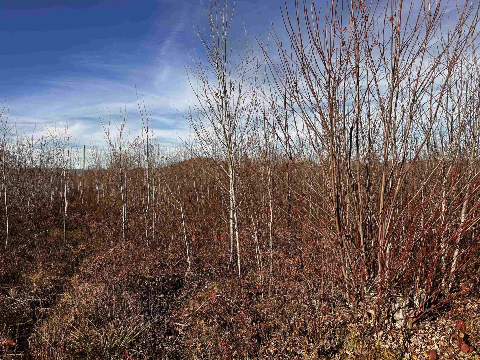 Tbd Mcintyre Road Dalton NH 03598