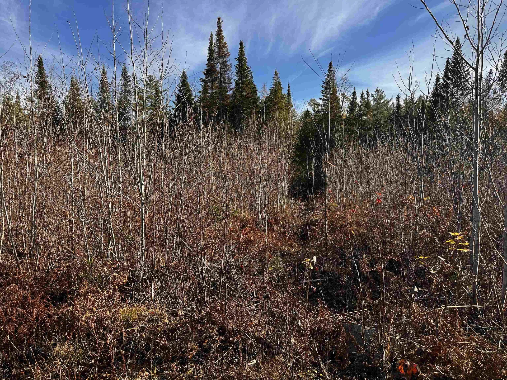 Tbd Mcintyre Road Dalton NH 03598