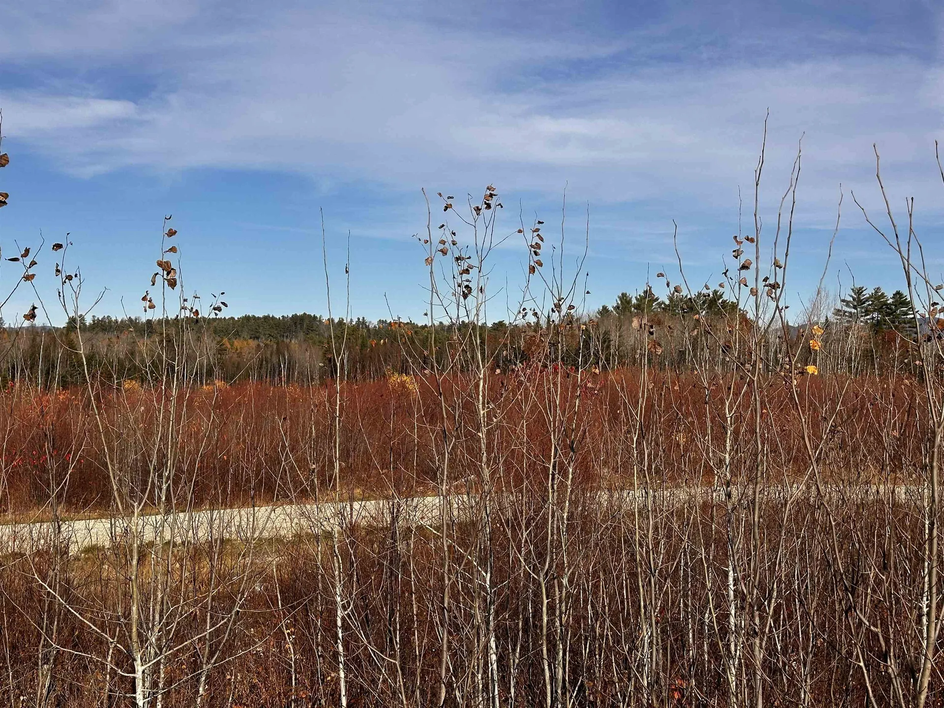 Tbd Mcintyre Road Dalton NH 03598