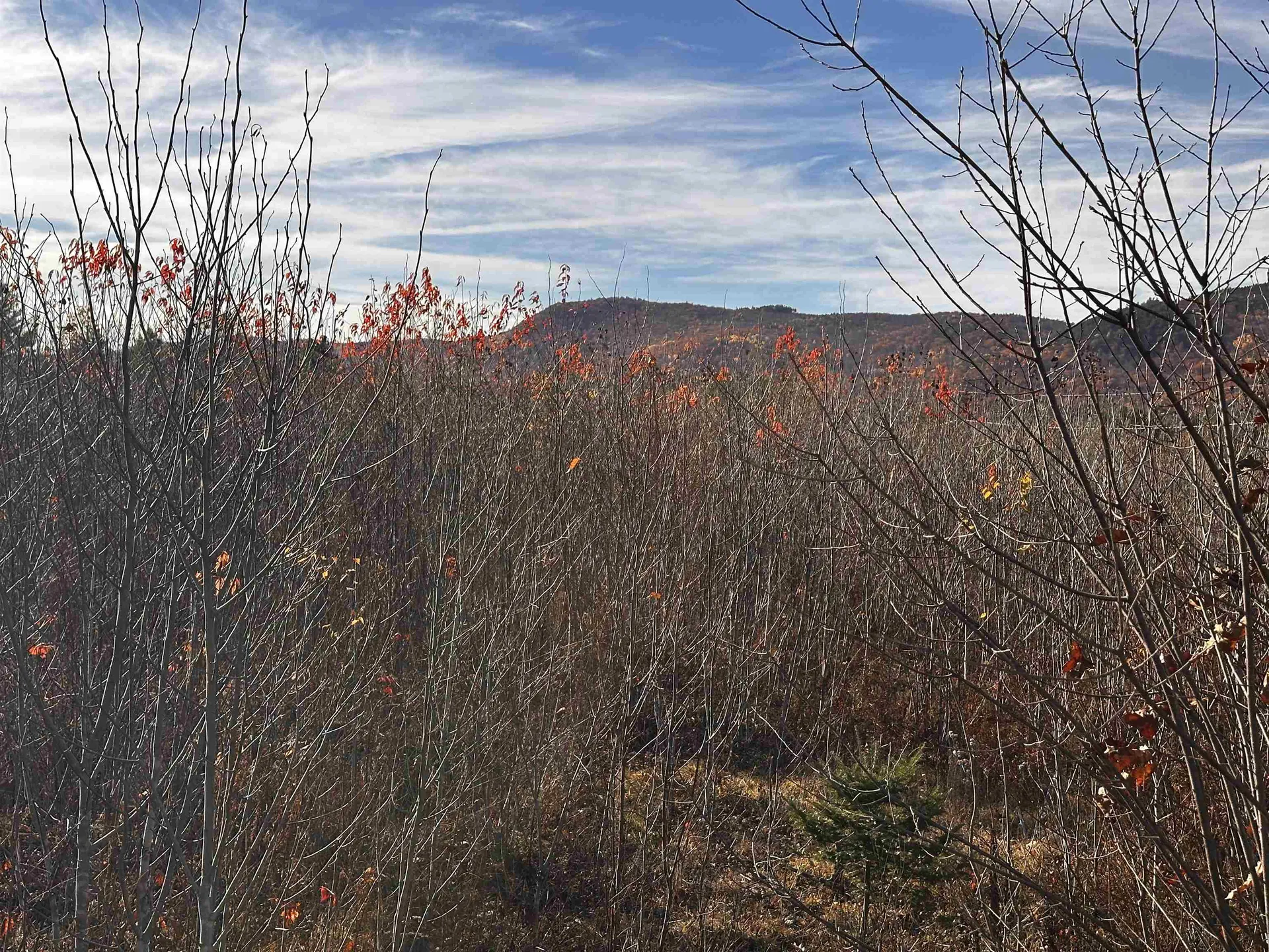 Tbd Mcintyre Road Dalton NH 03598