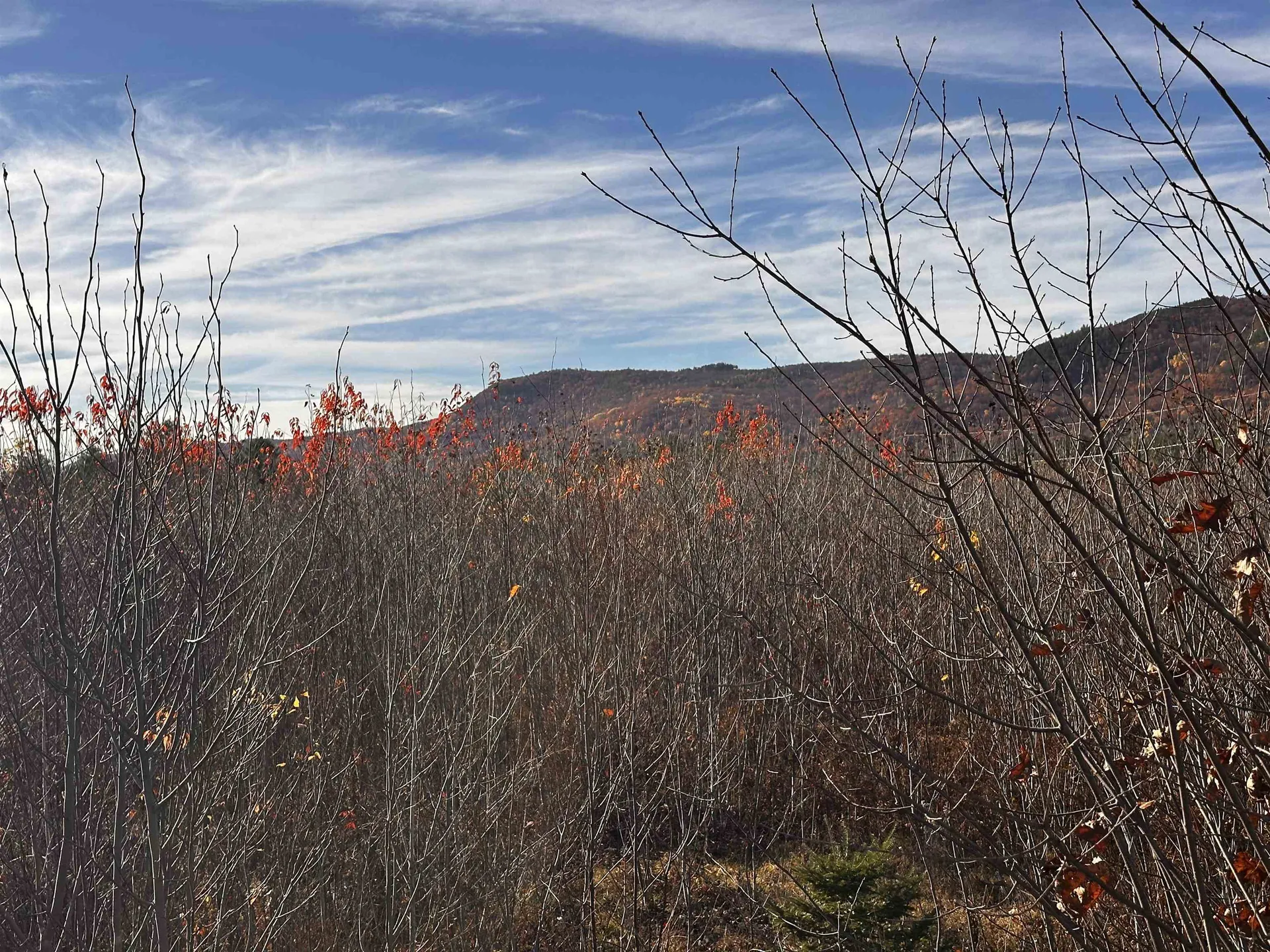 Tbd Mcintyre Road Dalton NH 03598