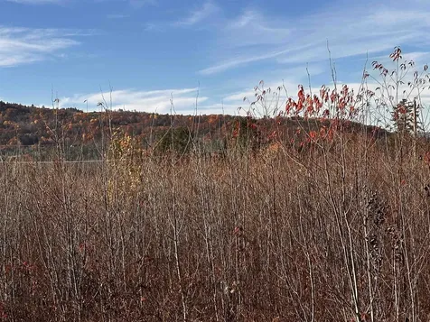 Tbd Mcintyre Road Dalton NH 03598