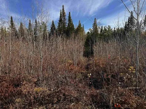 Tbd Mcintyre Road Dalton NH 03598