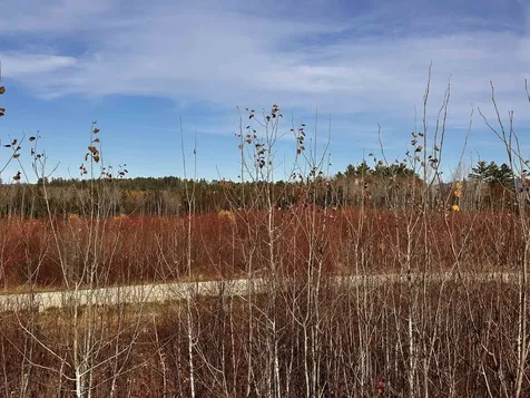 Tbd Mcintyre Road Dalton NH 03598